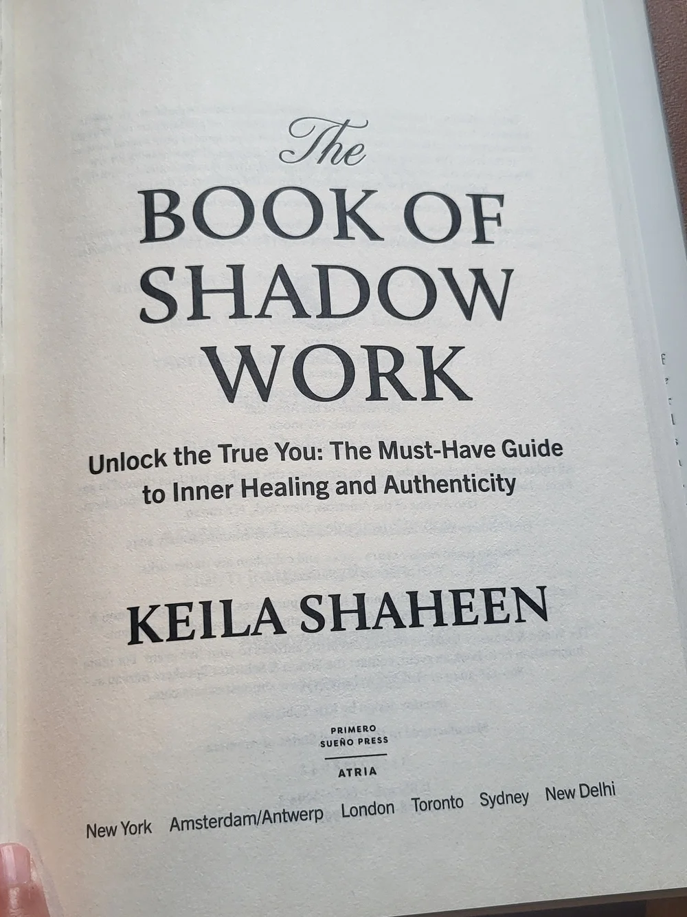 The Book of Shadow Work – Silver Cover